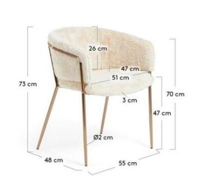 Transparent Plastic Devil Ghost Chair Nordic Dining Makeup Chair